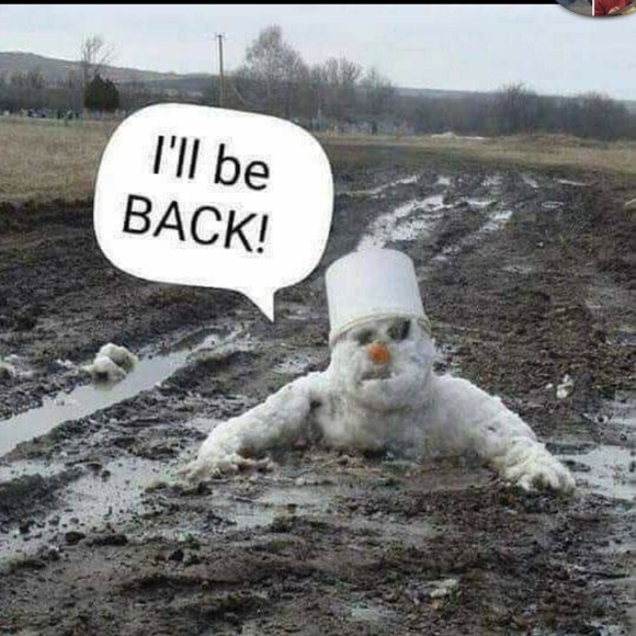 Just for laughs and giggles - Picture 9 of 15